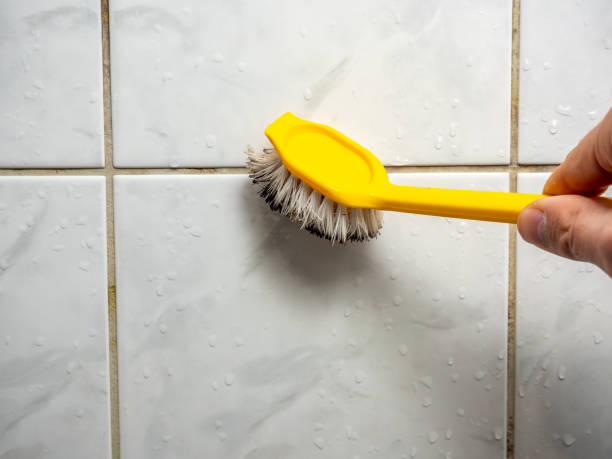 Best Fast Mold Removal  in Pascagoula, MS