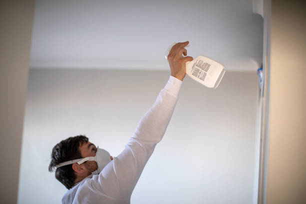Best Mold Removal Company Near Me  in Pascagoula, MS