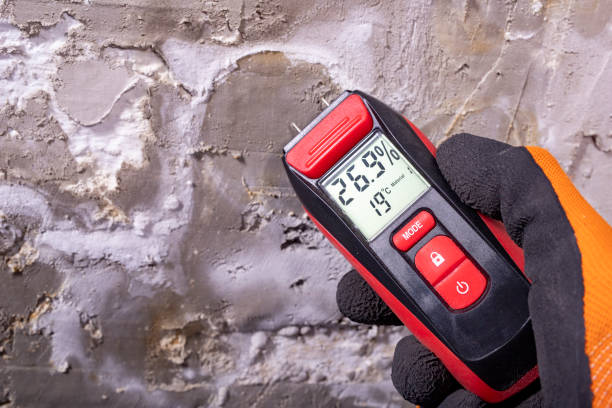 Best Crawl Space Mold Removal  in Pascagoula, MS